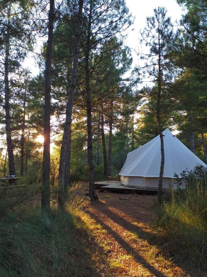 Forest Days Naves  Exterior photo