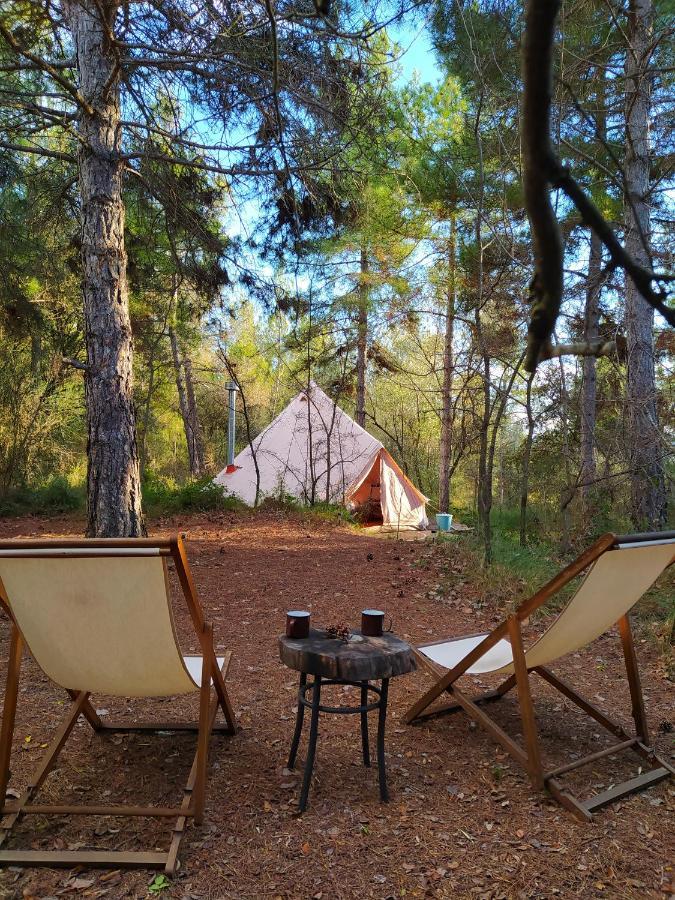 Forest Days Naves  Exterior photo