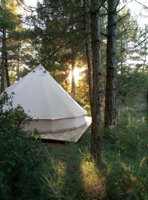 Forest Days Naves  Exterior photo