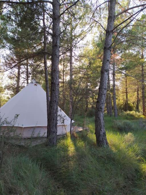 Forest Days Naves  Exterior photo