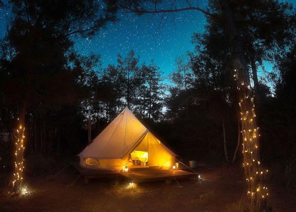 Forest Days Naves  Exterior photo
