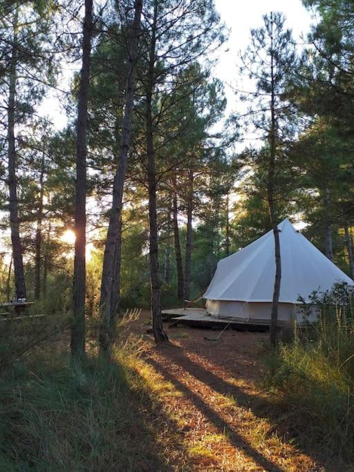 Forest Days Naves  Exterior photo